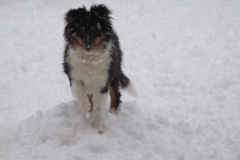 Varina im Schnee3