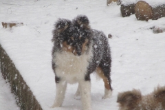 Varina im Schnee