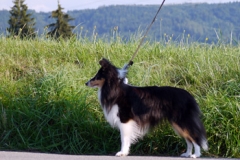 josy-1-jahr