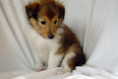 kira01