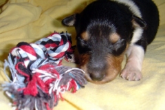 lola02