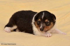 odin02