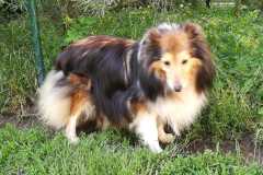 IMG-20210630-WA0009