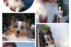Romeo