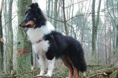 rocky01