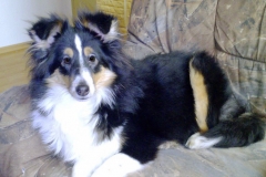 rocky02