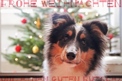Yoshi (Ursus) aus dem U-Wurf
