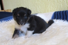 Vera mit 4 Wochen