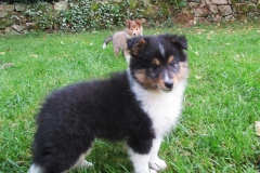 Vasco-8-Wochen